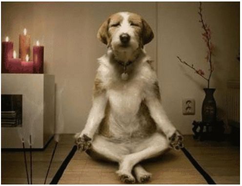 疫情后酒吧经营模式,酒吧行业当下有哪些危机