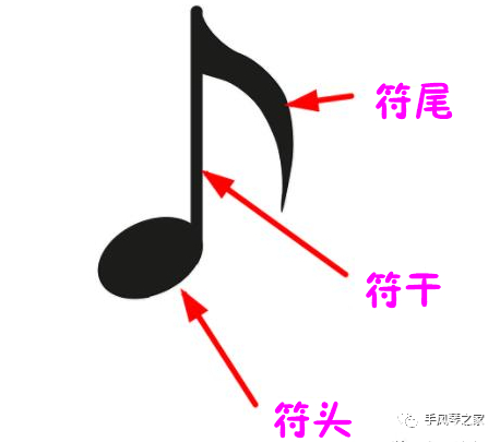 「每日一课」轻松学习五线谱——认识五线谱之音符