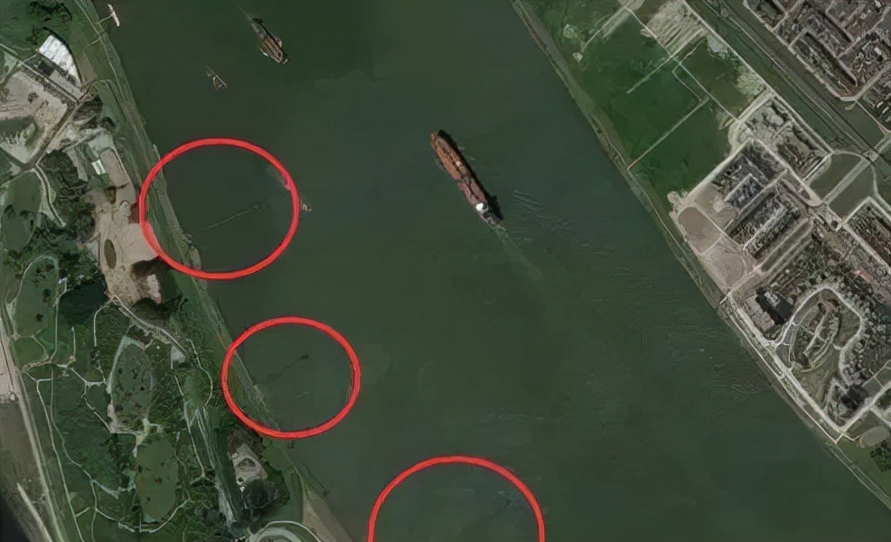 比利时大闸蟹泛滥怎么回事,来聊聊野生海鲜