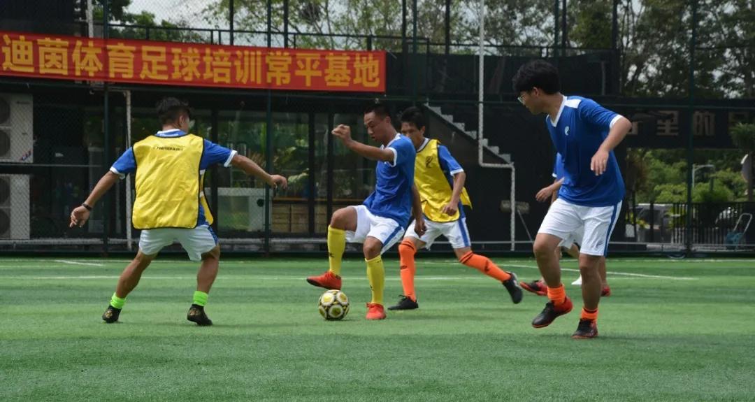 派迪茵教师培训,派迪茵体育中心