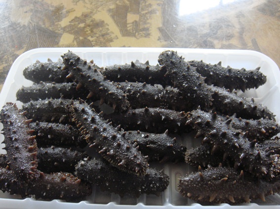 海参40元一斤的海参好吗,为什么有的海参好几万