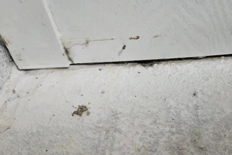 家里木地板被泡怎么赔偿,复合木地板被水泡应急办法