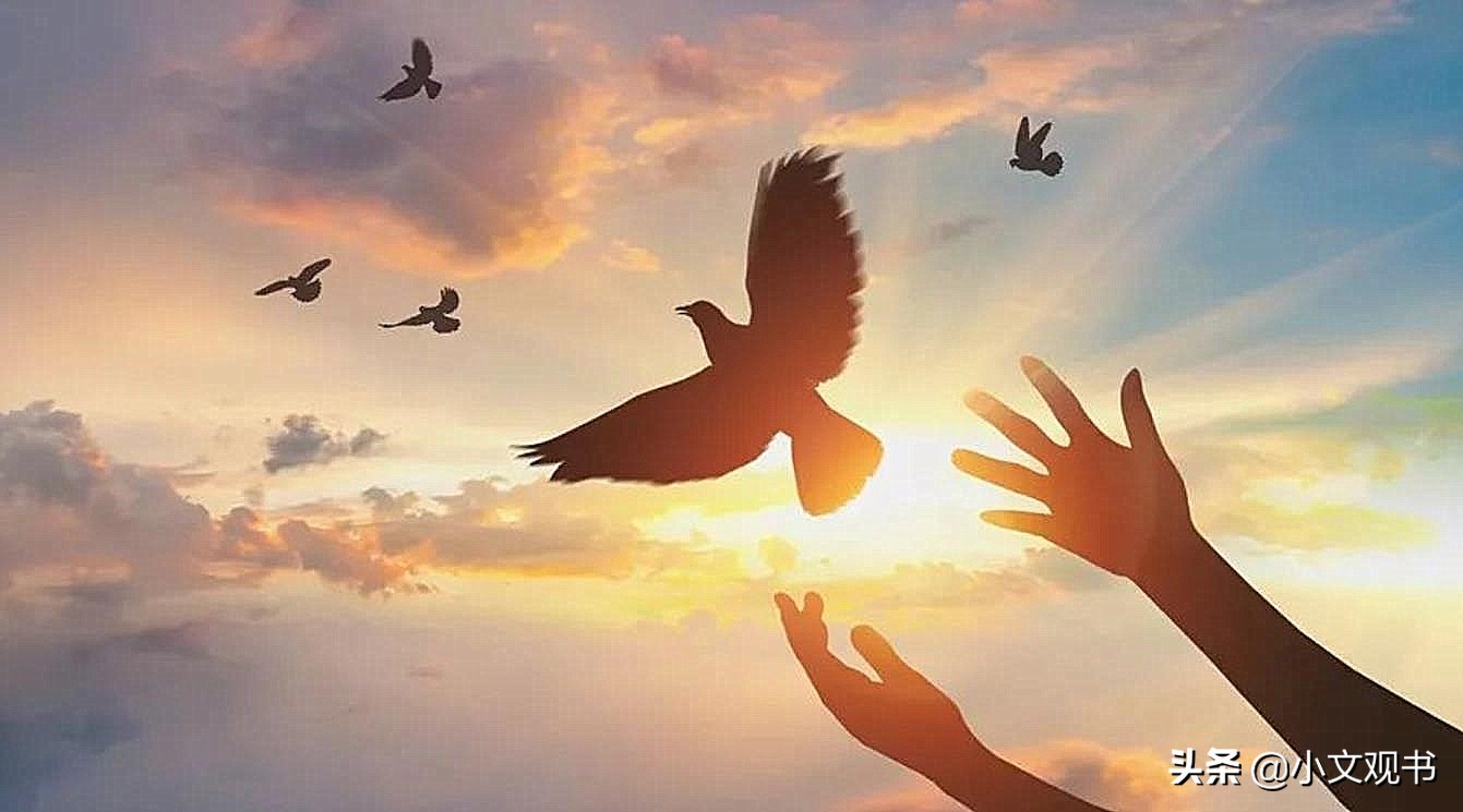 没钱没人脉的时候做明白三件事,没钱没人脉时这三件事千万不要做