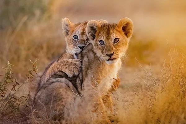 出国旅游过海关被扣是什么原因,出国旅游被海关劝返视频