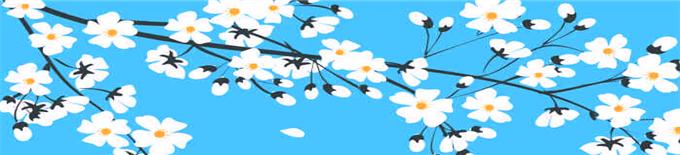 观摩·思考‖省小学信息技术优质课评比暨教学观摩在云兴小学开幕