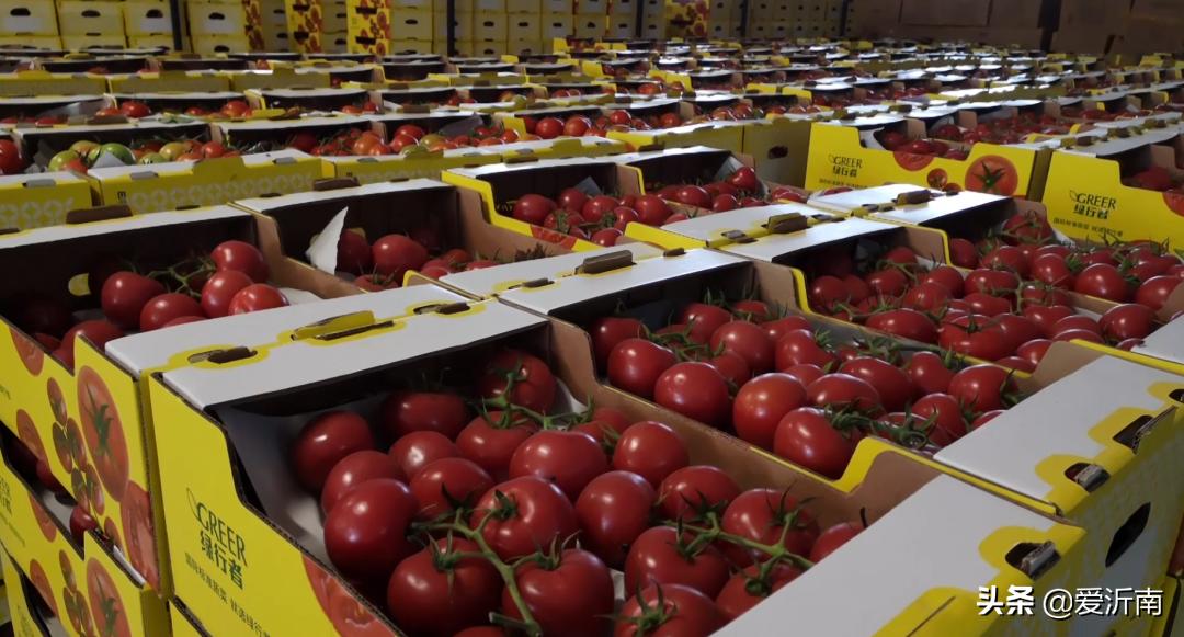 县领导调研澧南镇乡村振兴工作,城峰镇党委书记谈乡村振兴