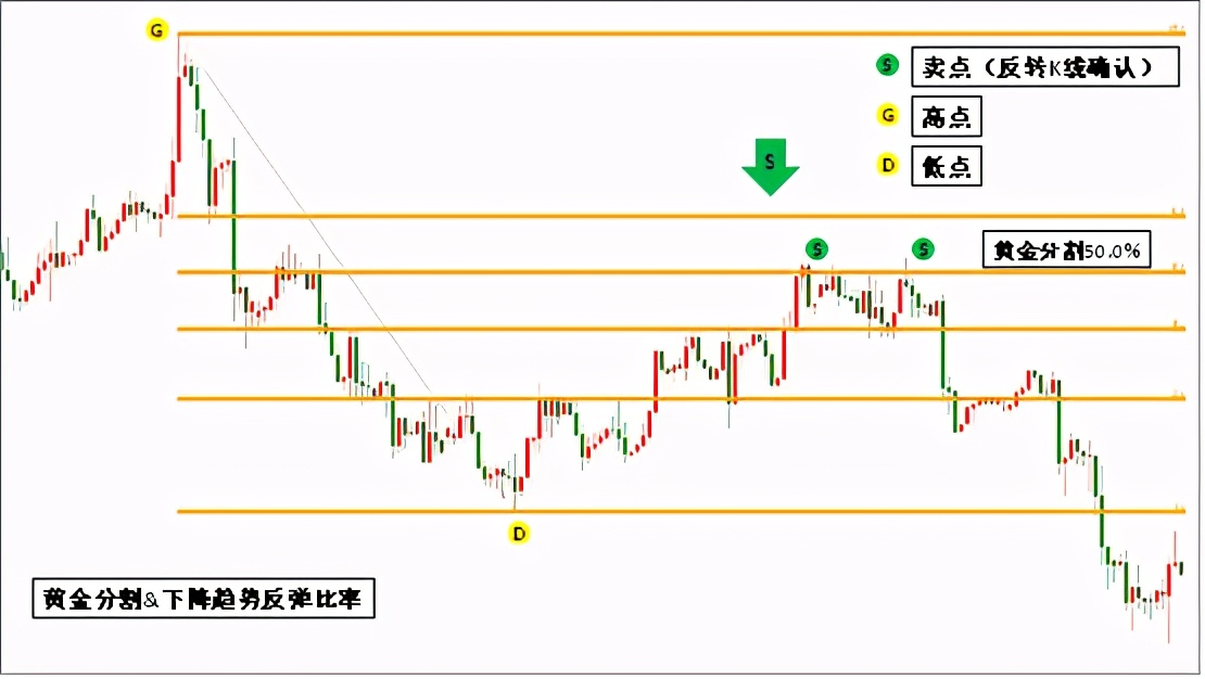 黄金分割线,黄金分割线的实战操作技巧