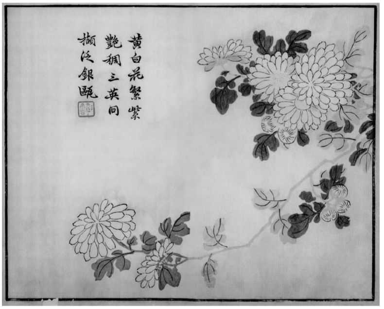 国画菊花的简单画法步骤图片,国画入门零基础自学画菊花