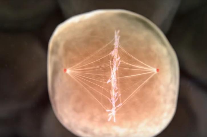 人造子宫实现让人类复活,人类能接受人造子宫吗