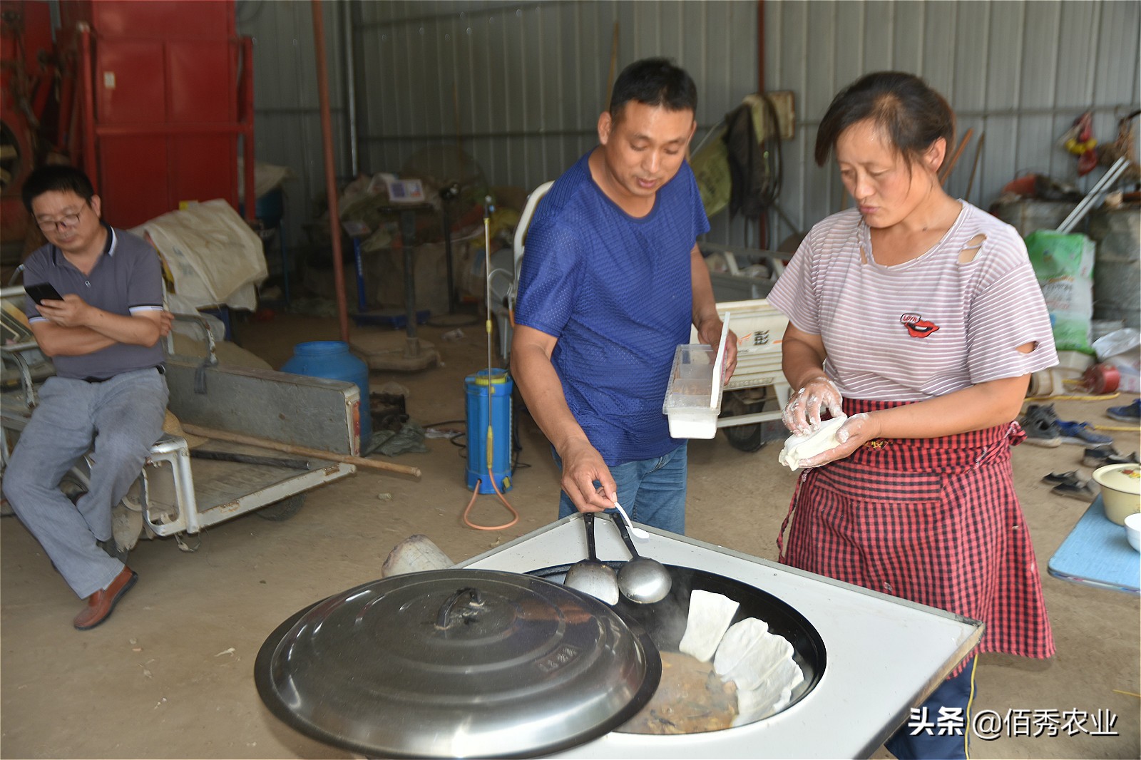 粮食得了病害,农村粮食浪费现象有哪些