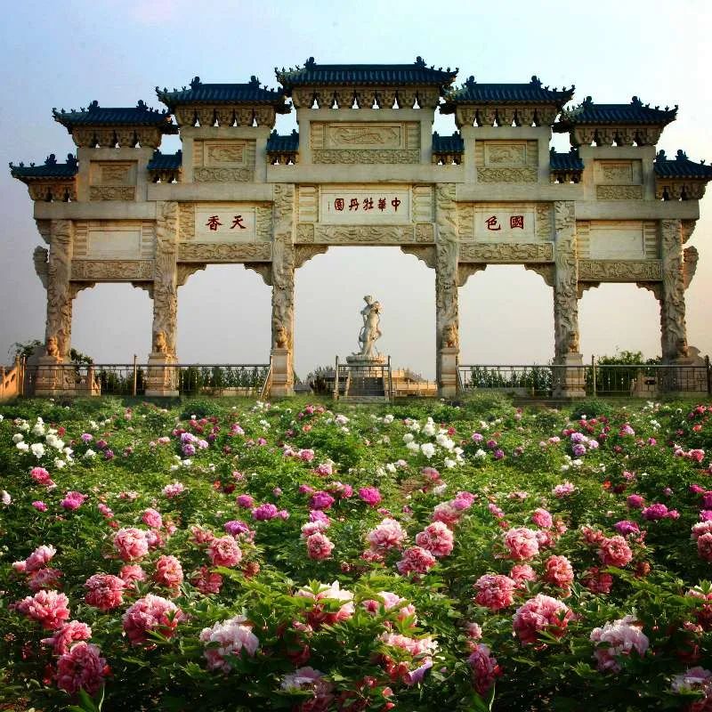 五一假期潍坊赏花踏青地推荐！这8个小众的绝美之地，一定要去走一走啊...