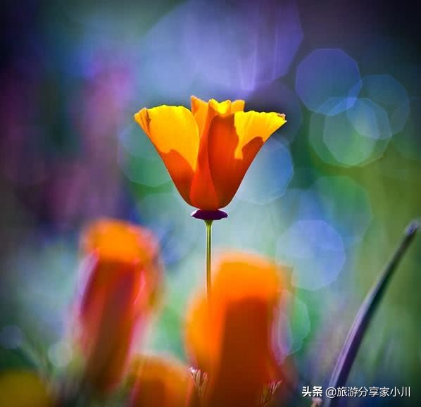 照片不清晰如何搞清晰,照片模糊没有质感怎么办