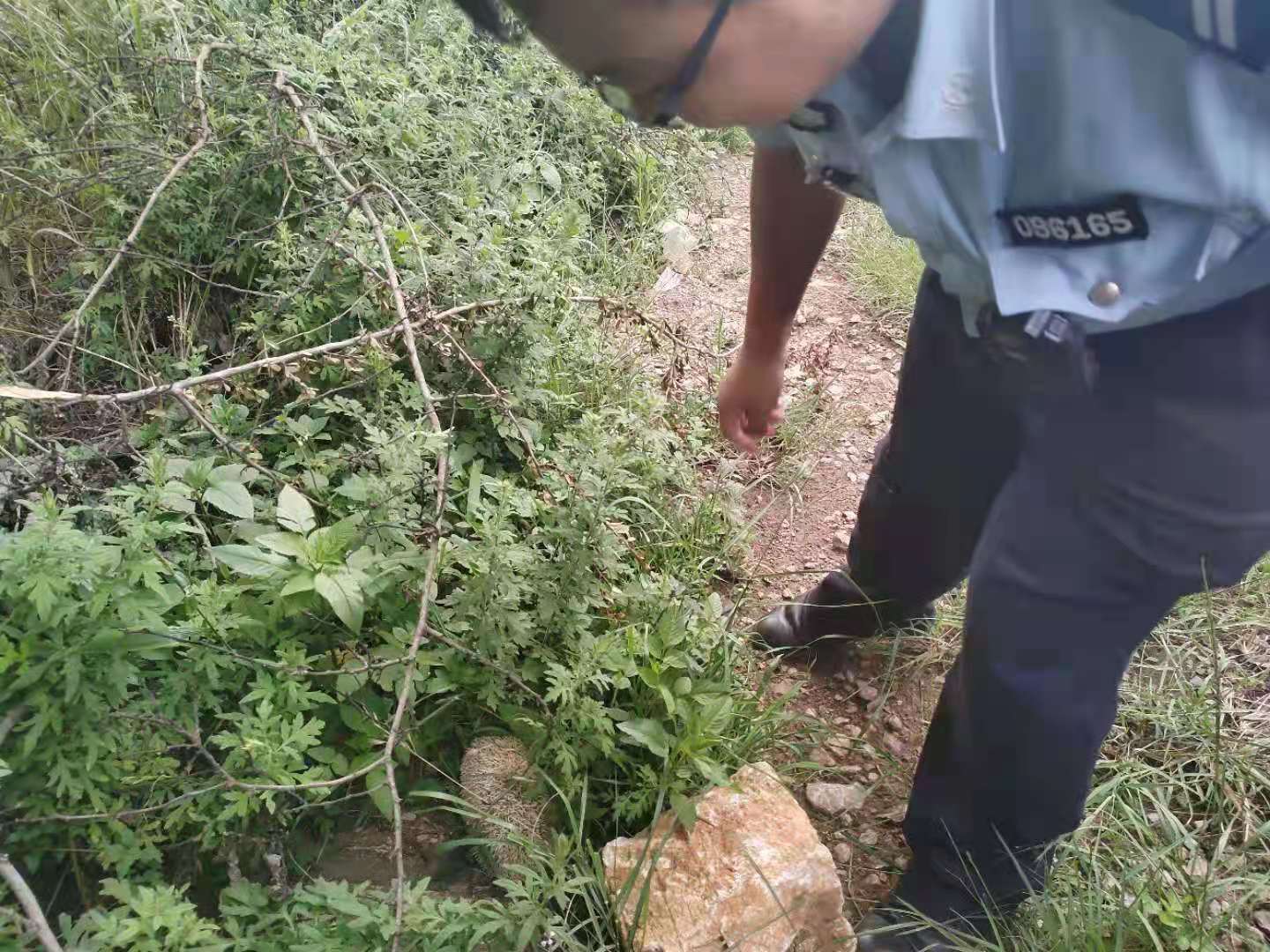 cop15小故事,cop15挑战赛知识点