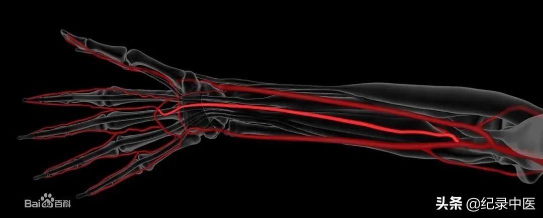 经络真的存在吗,真实存在的经络