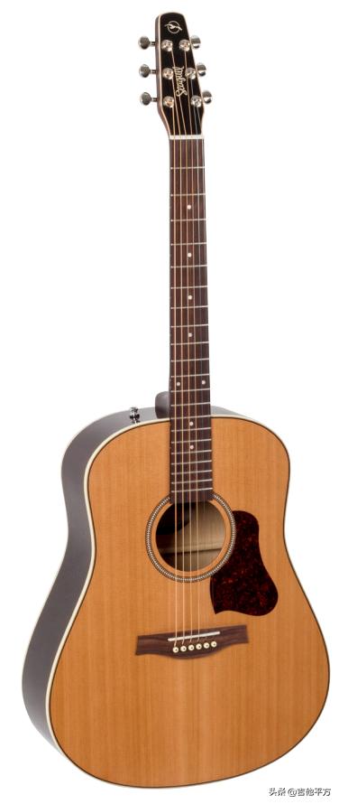 [AG杂志]Seagull推出一款物美价廉的D型琴