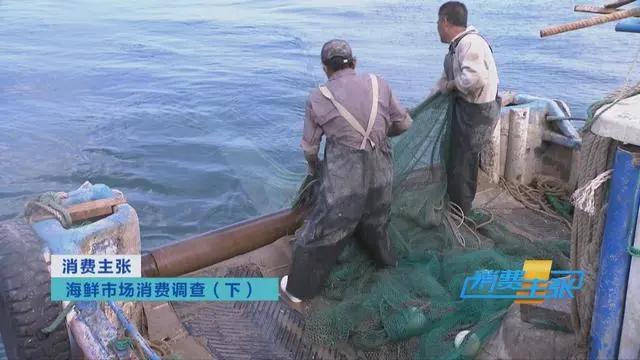 三亚海鲜市场皮皮虾多少钱一斤,海鲜市场上的皮皮虾