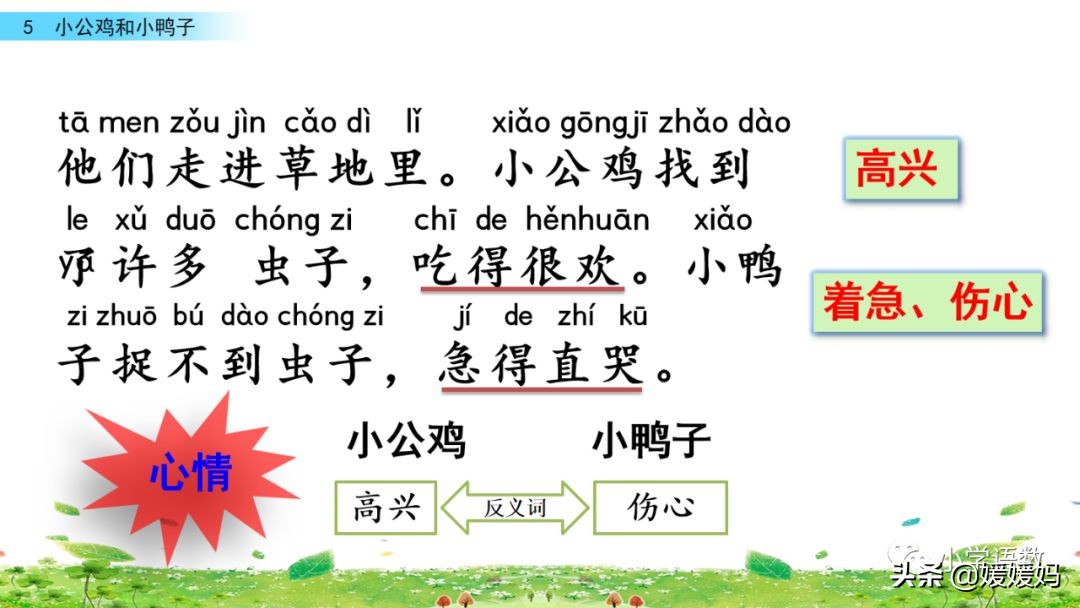 一年级下小公鸡和小鸭子课文重点,小公鸡和小鸭子一年级下册视频