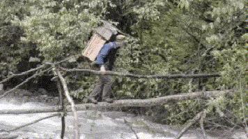 春夏还能这么吃健康养生吃不腻,春夏秋冬适合喝什么滋补