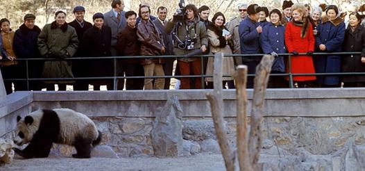 1972年,毛主席接见尼克松,笑着问他:你们常常利用姑娘做掩护?