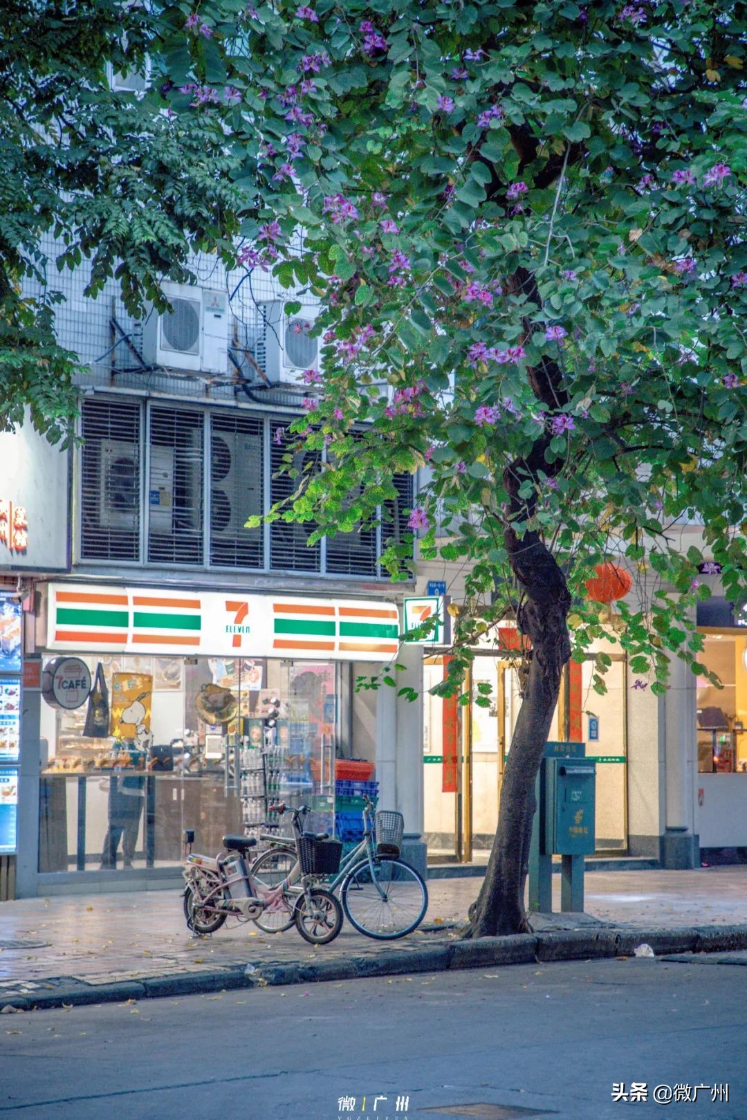 广州五羊邨富人区,广州被遗忘的荒村