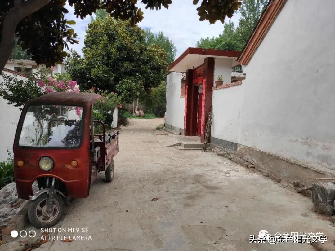 写我的乐园的作文,我心中的乐园作文