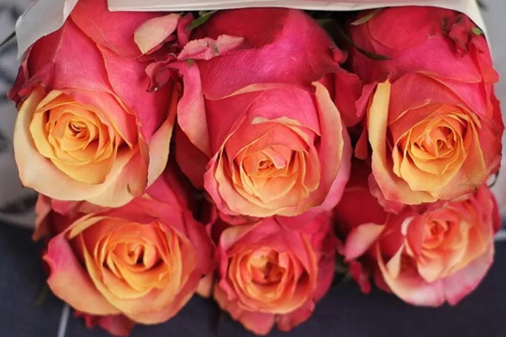 花店必备的5款玫瑰,花店最常用什么品种的玫瑰花