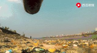 流浪狗狗遇到爱它的主人,流浪狗需要被疼爱