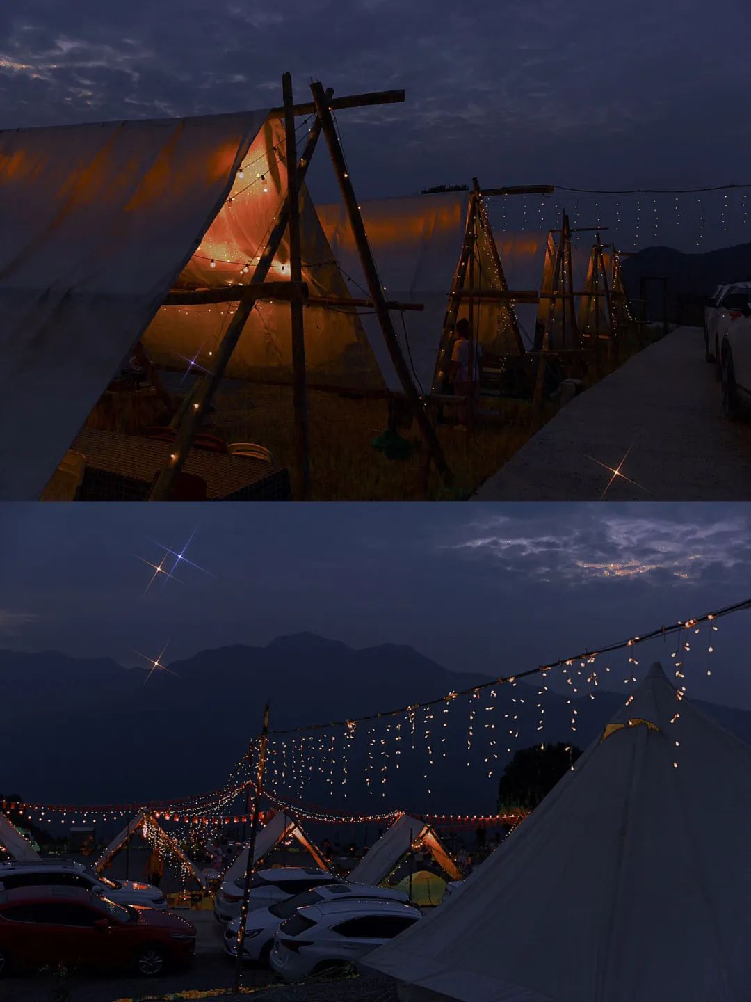 人类森林露营,人类高质量游览