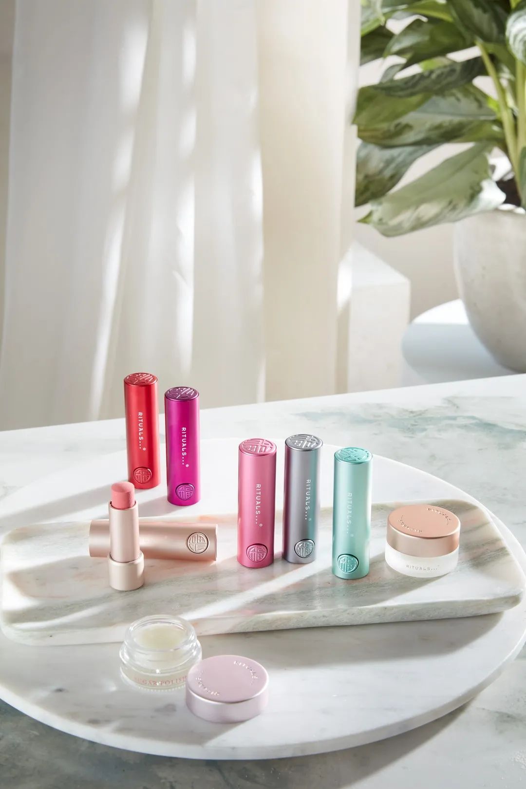 为披荆斩棘的哥哥打call的明星,明星为披荆斩棘的哥哥打call