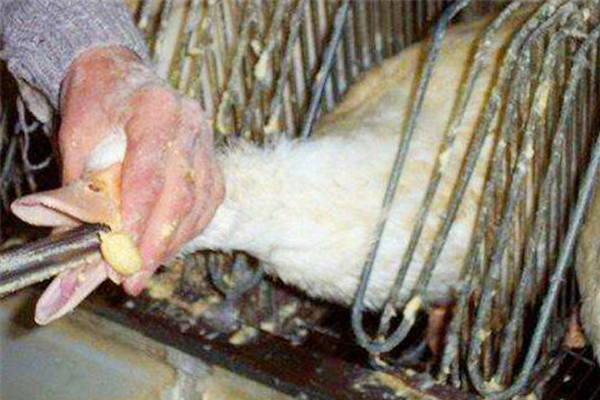 苏东坡和郭沫若比较谁有才,郭沫若和苏轼谁的文学成就大