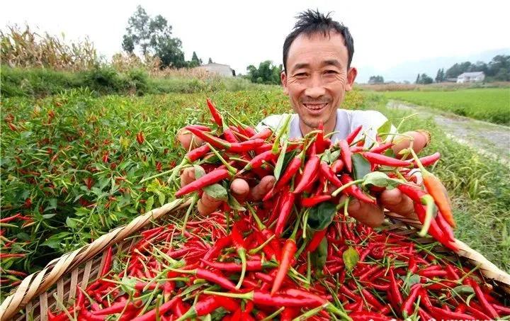 革命老区遵义贫困县全部出列