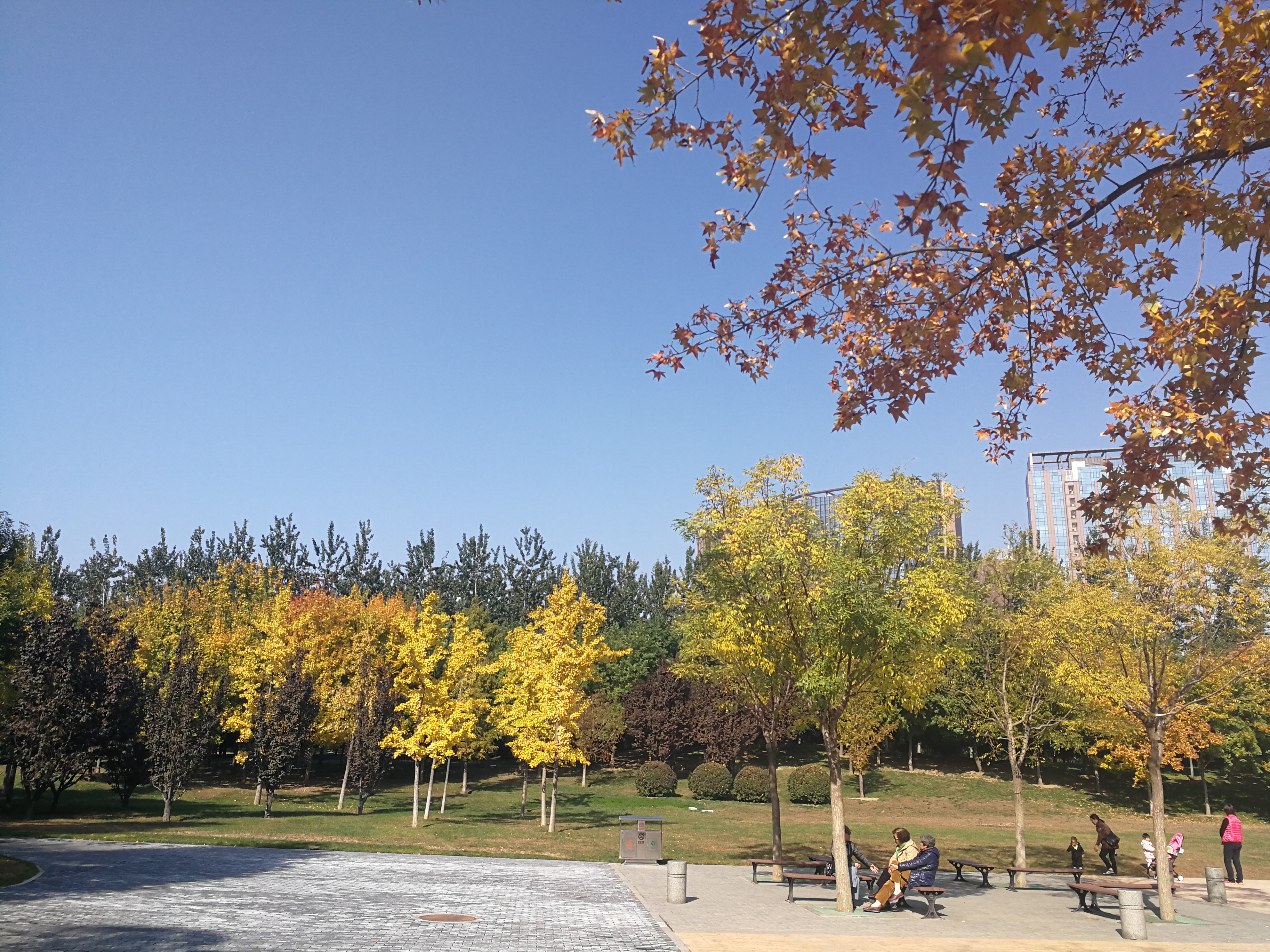 信用卡没有全款还款最佳处理方法,信用卡还不了怎么和银行协商还款