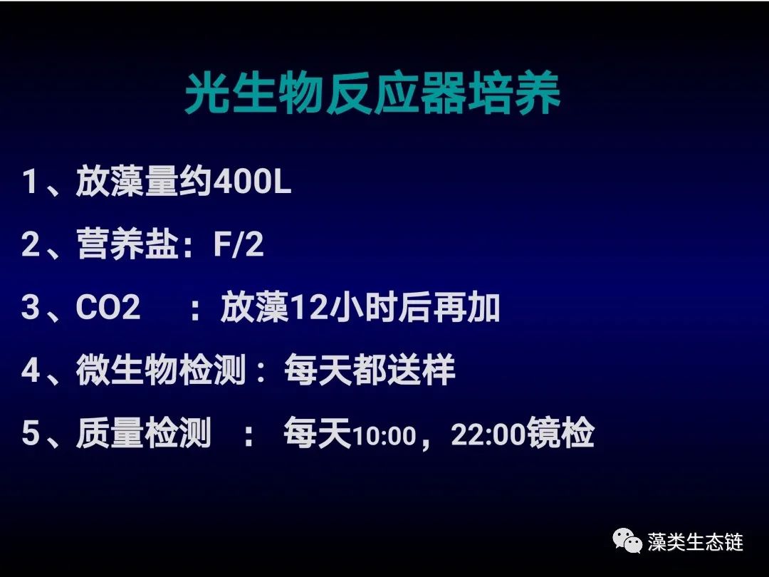 藻类培养课程视频教程,海南藻类生态链