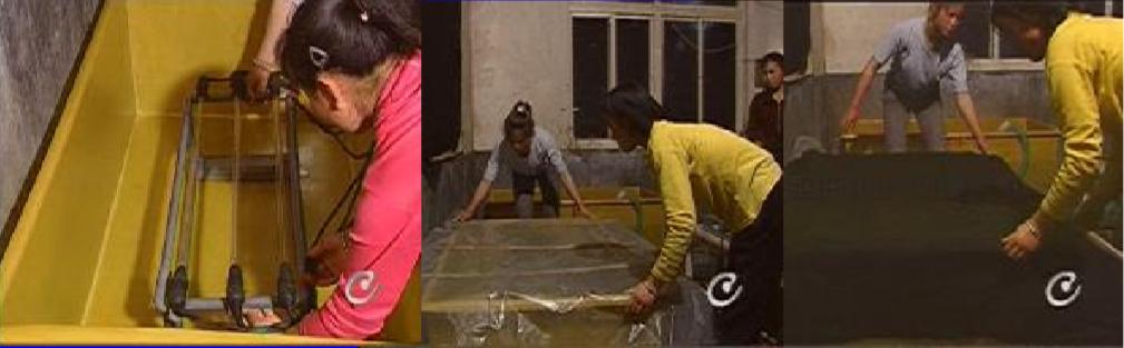 鲍鱼养殖怎么养得好吃,鲍鱼的养殖方法和注意事项