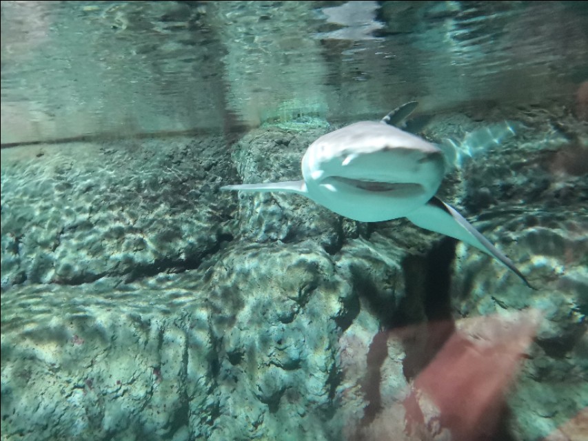 北京工体富国海底世界周一营业,北京工体富国海底世界旅馆