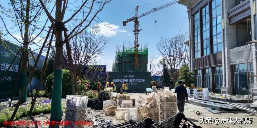 南湖，武清的天使之泪2.0版