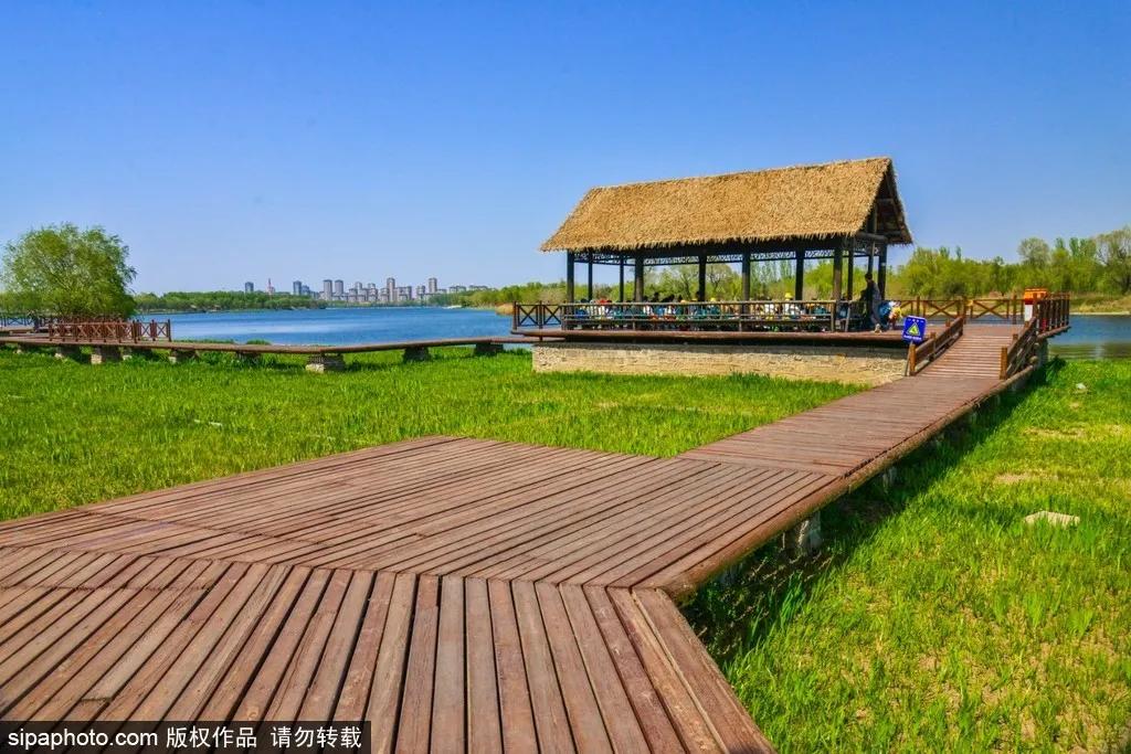 部分免费！北京赏秋“性价比”最高选择都在这儿了！