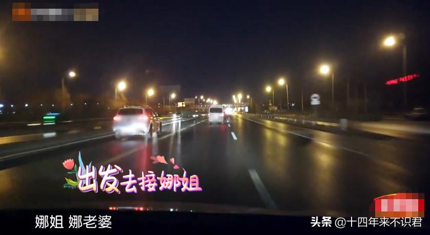 张嘉倪和妻子团,张嘉倪感情