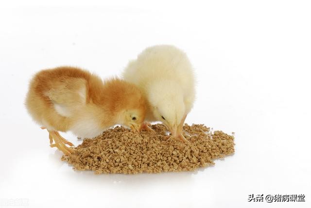 饲料里边添加钙粉的比例,饲料石粉要求的钙是什么钙