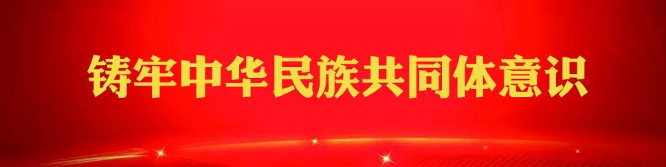 小学生铸牢中华民族共同体书法,铸牢中华民族共同体意识儿童书法
