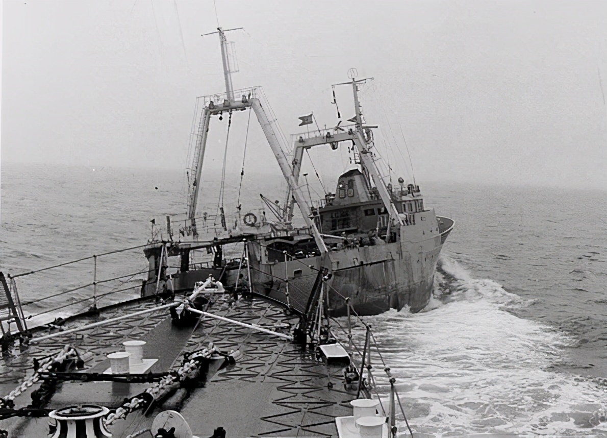 鳕鱼进化史,来看看鳕鱼的进化史吧