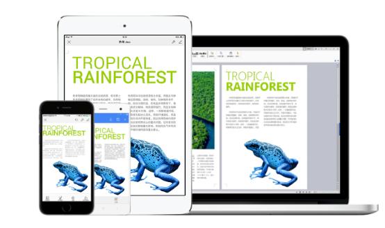 wps个人版和专业版有什么区别,wps个人版怎么转为专业版