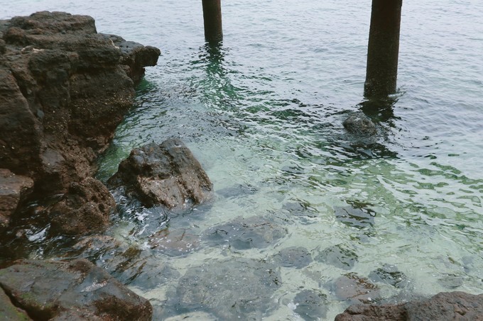 如约而至的涠洲岛,涠洲岛一生所爱