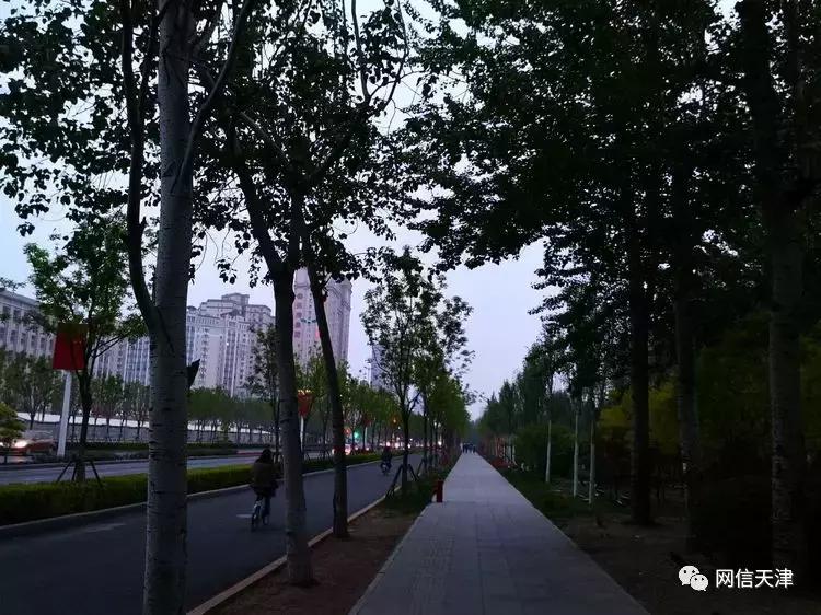 天津津门里巷的感受,津门里巷