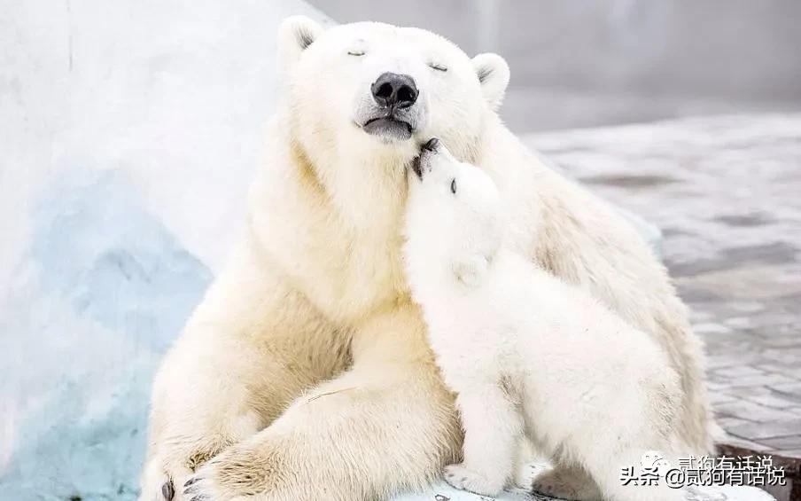 小时候我们都遇到过哪些谎言,小时候我们被骗的5个谎言