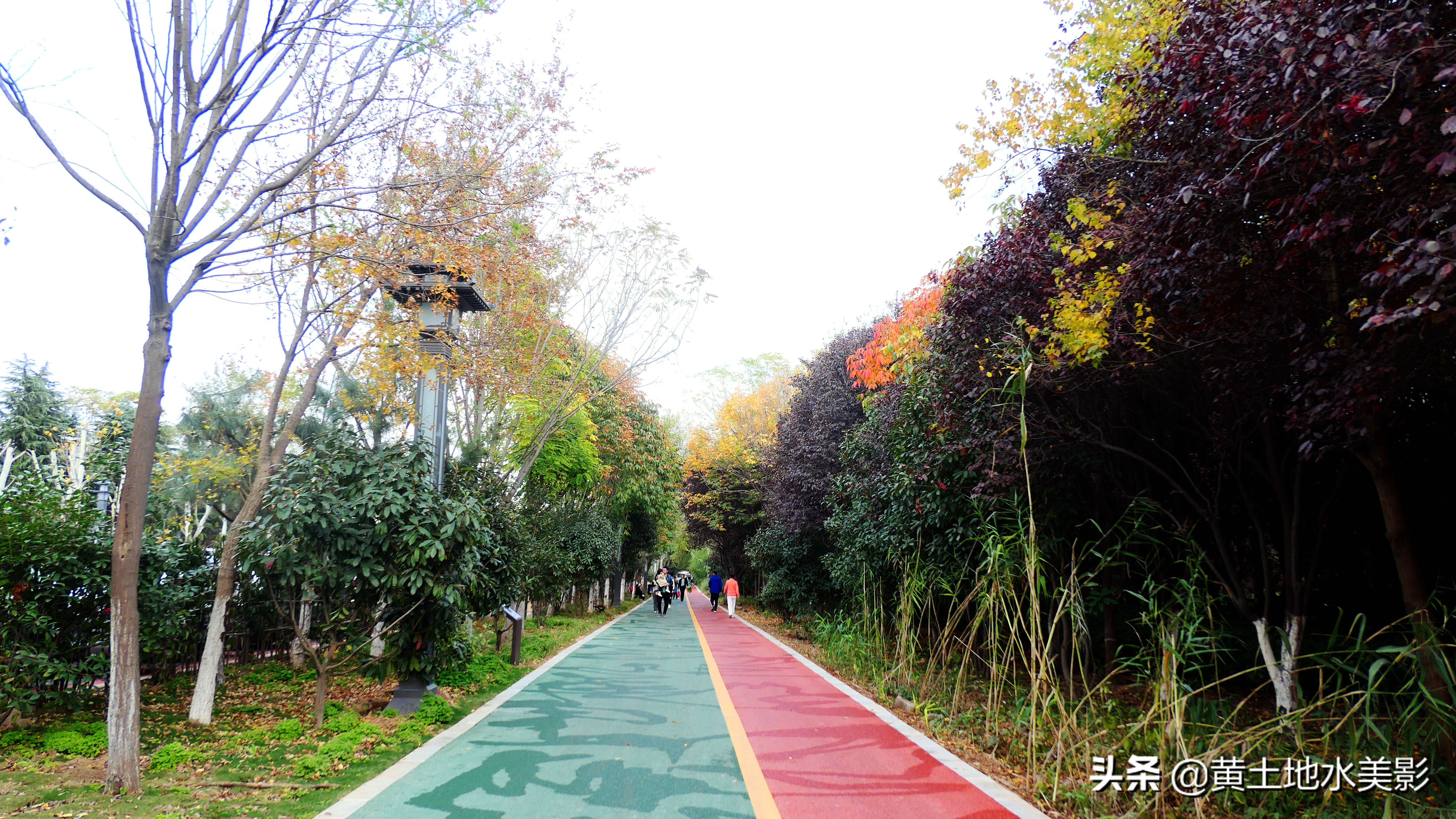 免费游玩东湖公园攻略,游玩国家湿地野鸭湖