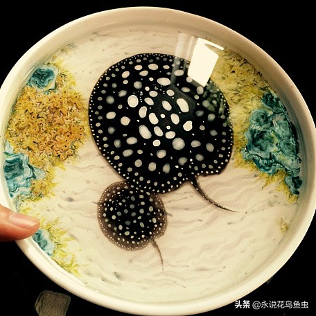 第一人称视角中鱼瞬间合集,魟鱼入缸开箱视频