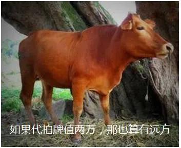 鍥涢腑鎭嬫儏,鍥涢腑cp鏄湡鐨勫悧