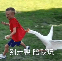 足球界的搞笑时刻,足球十大经典搞笑段子