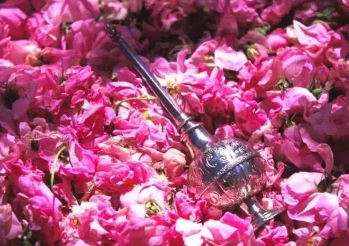 物价便宜又免签的国家,中国免签国家哪里的物价最便宜